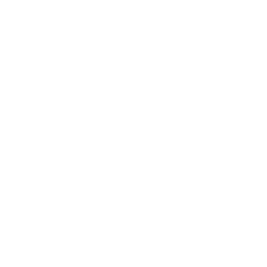 instagram social media icon